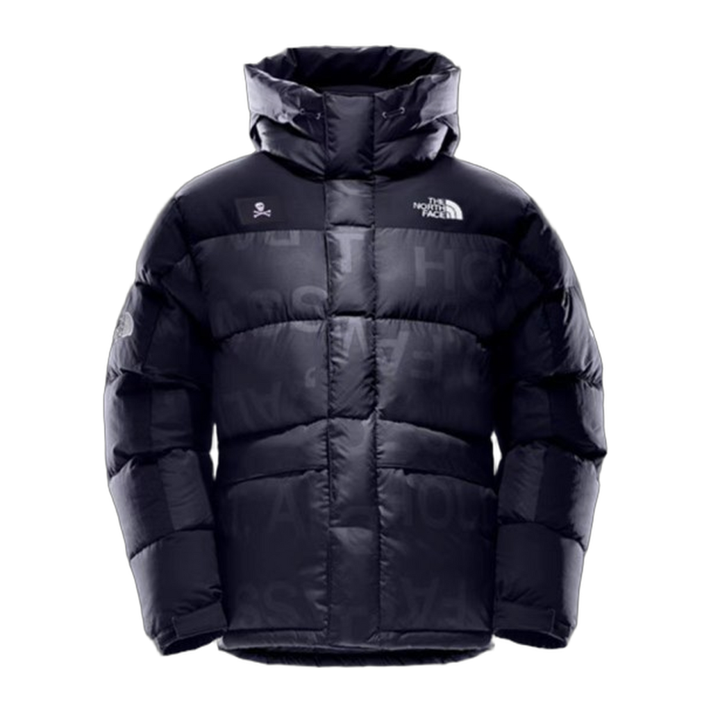 The North Face Urban Exploration Special Series Down Parka | 5J27