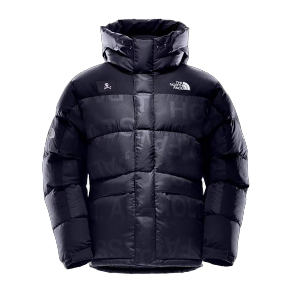 The North Face Urban Exploration Special Series Down Parka | 5J27