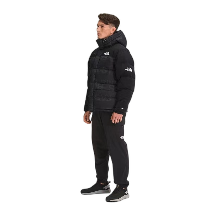 The North Face Urban Exploration Special Series Down Parka | 5J27